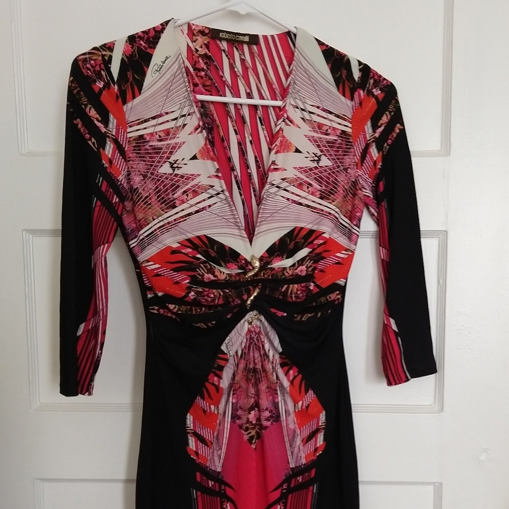 Roberto Cavalli masterpiece dress